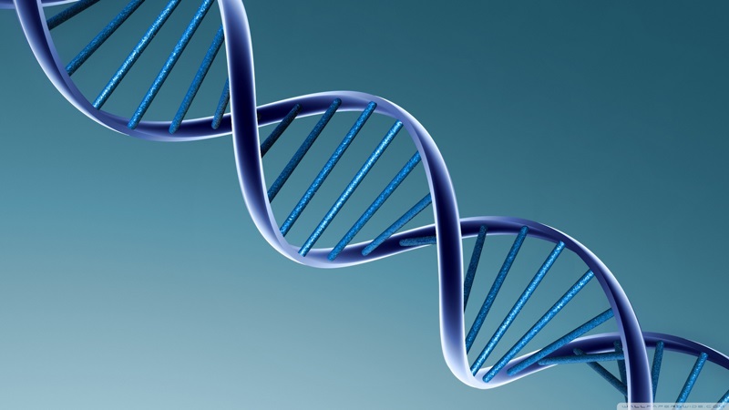 ADN Của Dòng Chảy Lời Sự Sống